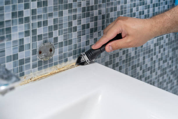 Best Mold Testing  in Grapeland, TX
