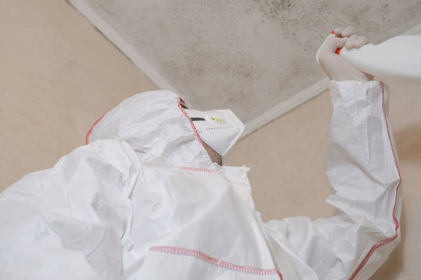 Trusted Grapeland, TX Mold Removal Experts