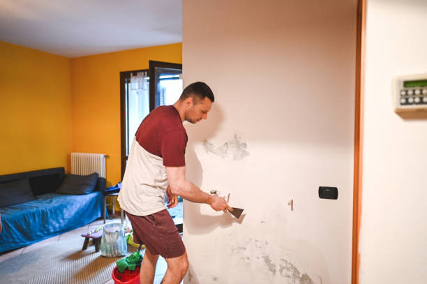 Best Certified Mold Removal  in Grapeland, TX